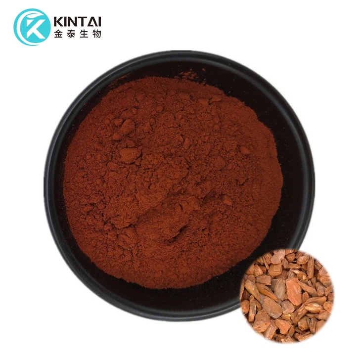 Pulbere de extract de scoarță de pin