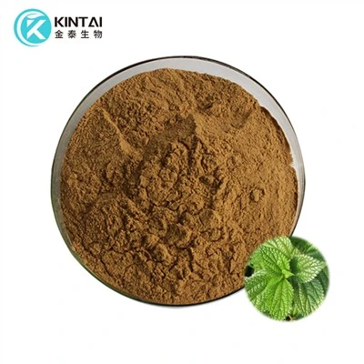 Pudră de extract de rădăcină de urzică