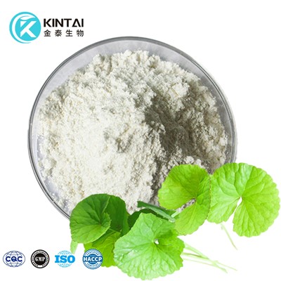 Extract de Centella Asiatica Gotu Kola